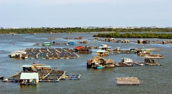 Một ngày du ngoạn xã đảo Long Sơn (Vũng Tàu) - ảnh 1