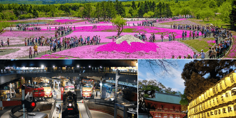 Du lịch Saitama Nhật Bản đẹp như tranh