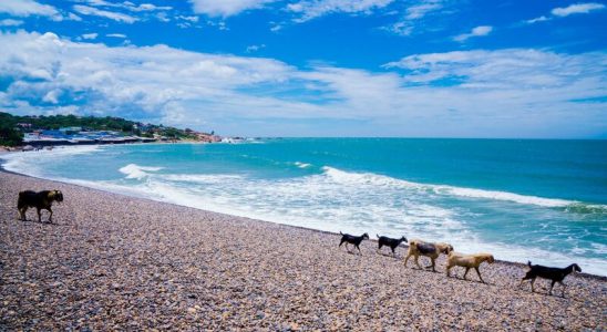 Bãi biển Cổ Thạch