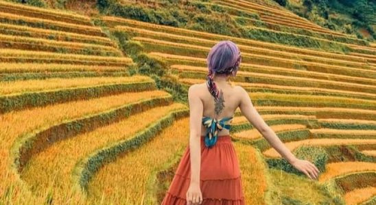 Mù Cang Chải mùa lúa chín đẹp như tranh vẽ