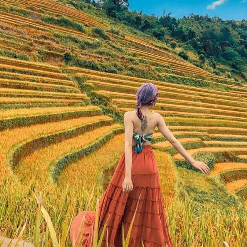 Mù Cang Chải mùa lúa chín đẹp như tranh vẽ Mù Cang Chải mùa lúa chín đẹp như tranh vẽ