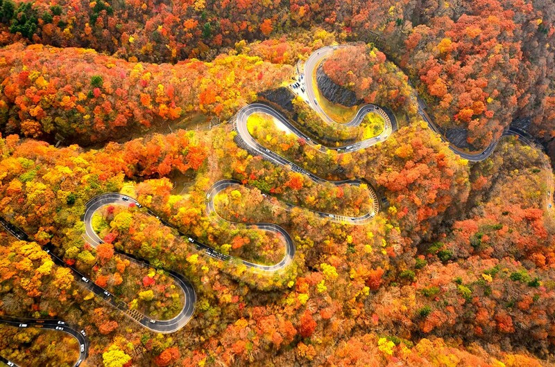 Mùa lá đỏ ở vườn quốc gia Nikko Mùa lá đỏ ở vườn quốc gia Nikko