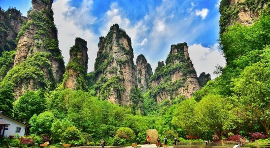 Công viên rừng quốc gia Trương Gia Giới