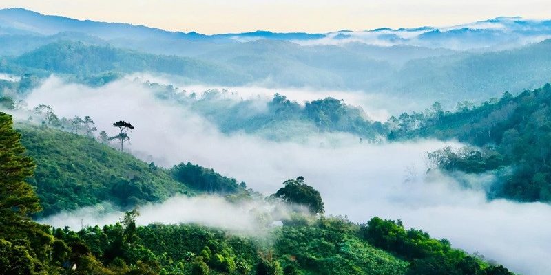 Măng Đen thu hút bởi thiên nhiên hùng vĩ