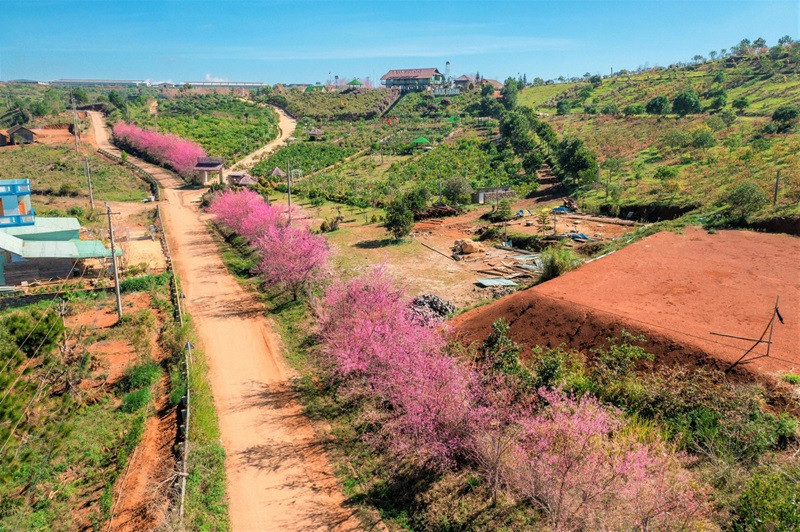 Du lịch Măng Đen dịp Tết