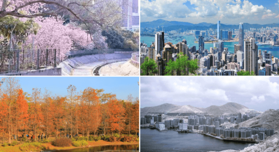 Hong Kong - khí hậu 4 mùa rõ rệt