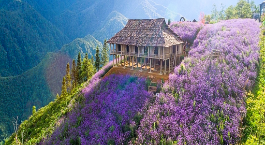 Điểm tham quan Tour Tây Bắc giá rẻ