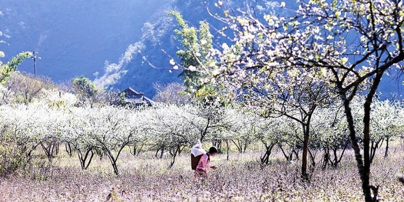 Vẻ đẹp Tà Mung vào xuân để lại ấn tượng sâu sắc