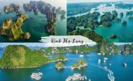 Chiêm ngưỡng vẻ đẹp du lịch Vịnh Hạ Long