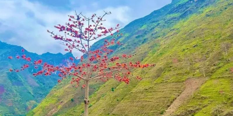 Thời tiết tháng 3 lý tưởng để du lịch Hà Giang
